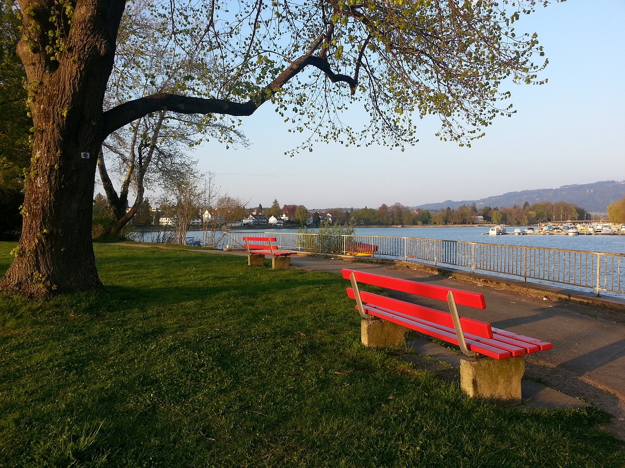 老将阿隆索 老将阿隆索