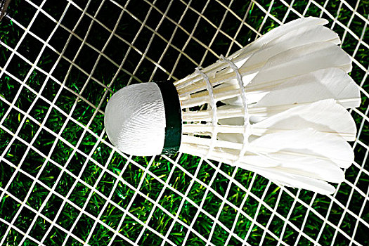 泰山队需要 泰山队需要