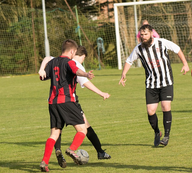 力回天时 力回天时